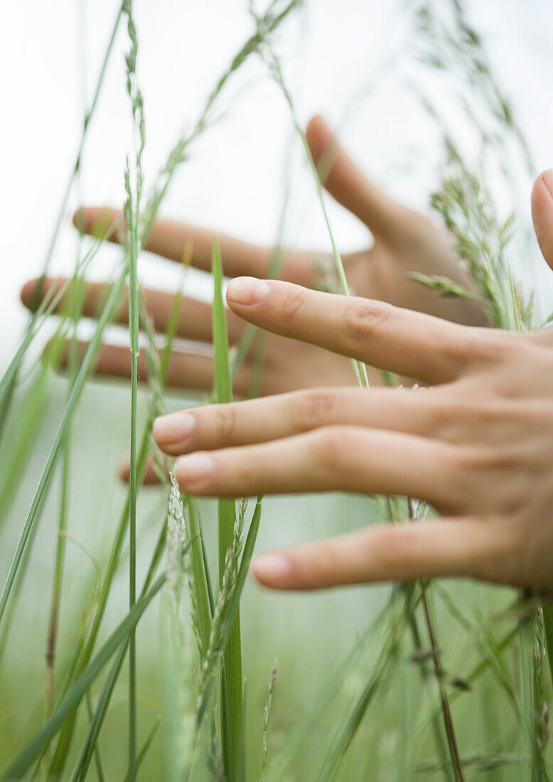 Female hands in long grass