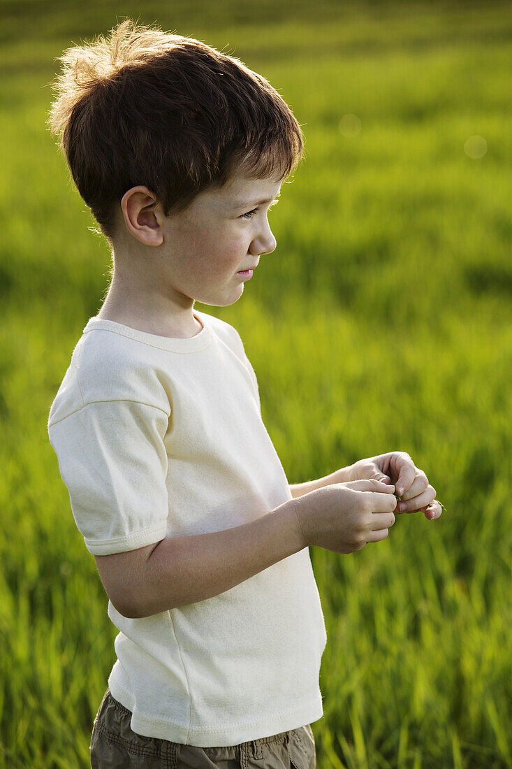 A young boy standing in a field