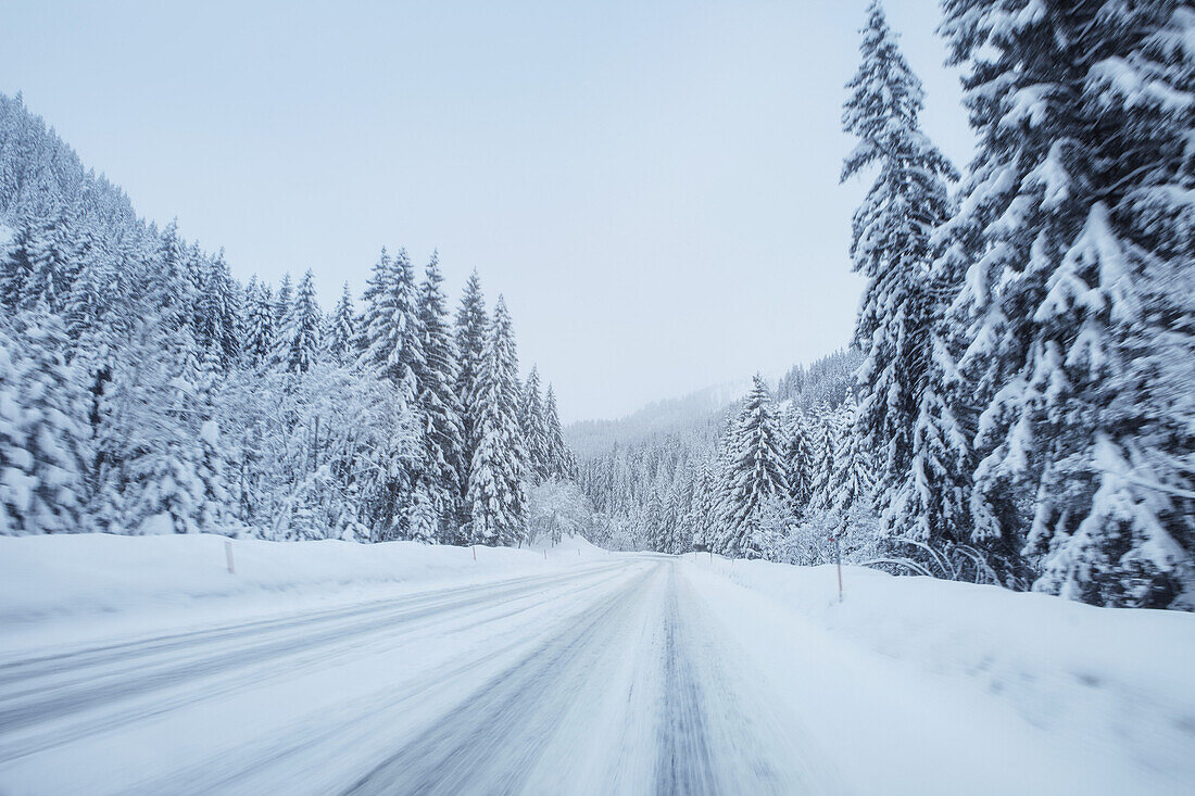 Tire tracks on snow covered road