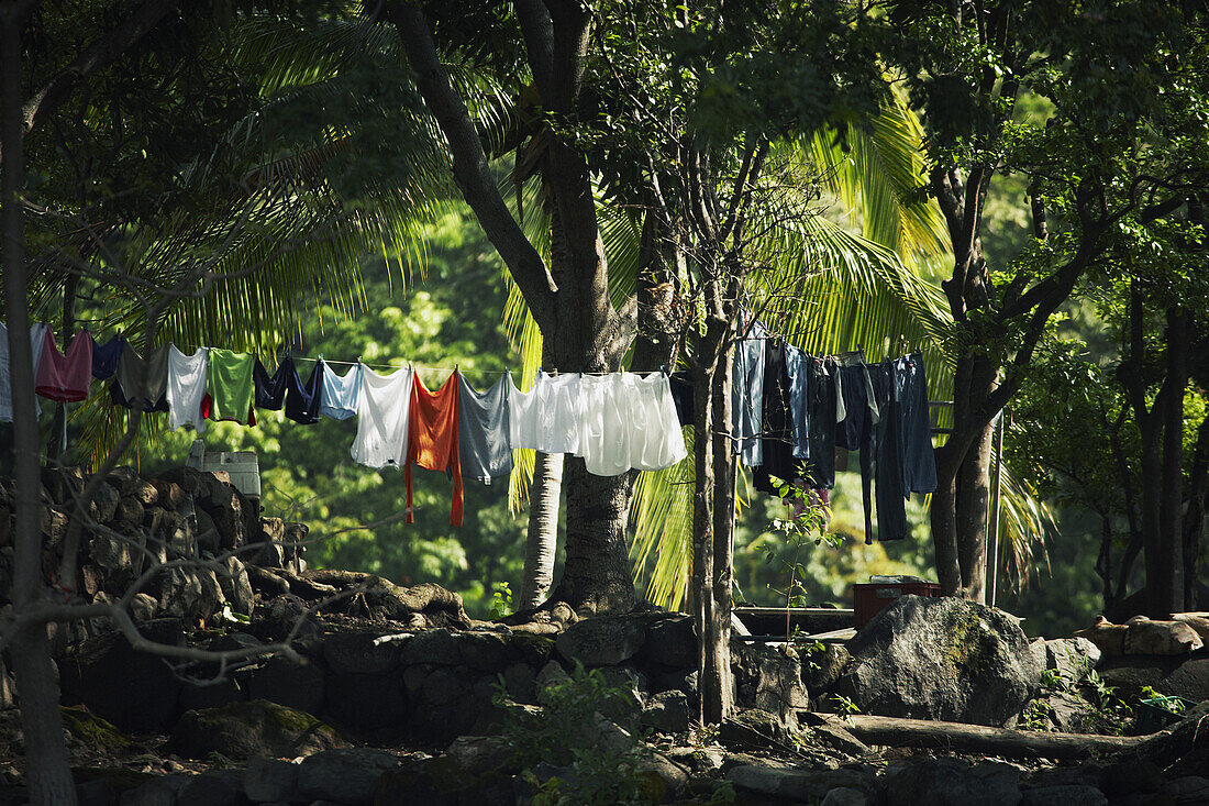 Clothes drying on clothesline outdoors