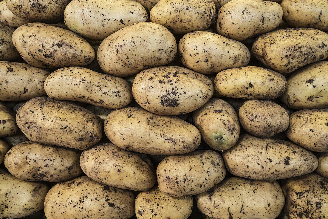 Full frame shot of muddy potatoes