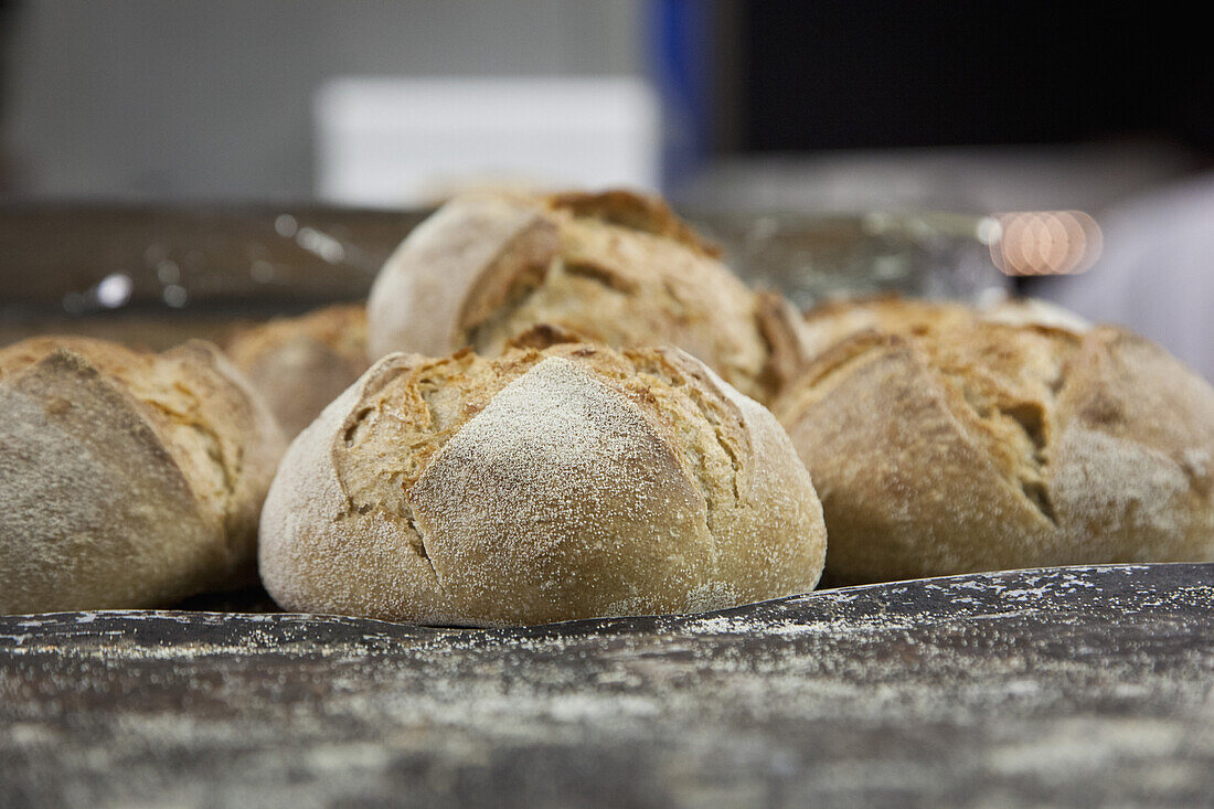 Baked brown bread on counter