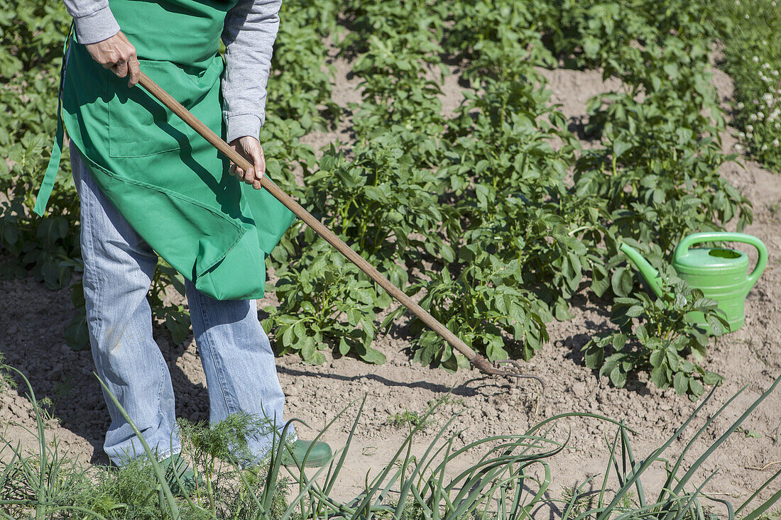 Low section of woman working in community garden