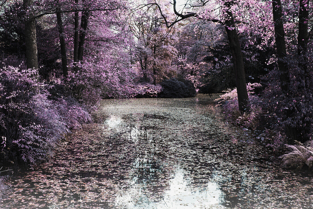 Tranquil view of lake and tree