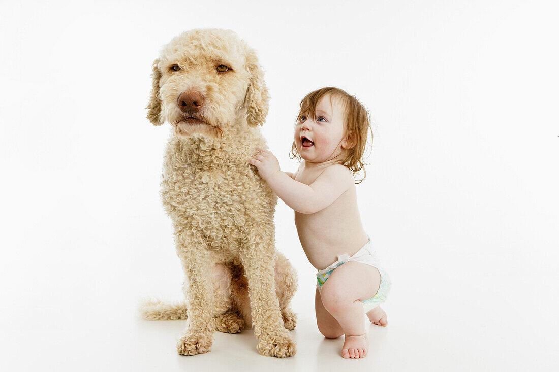 A baby girl with a dog