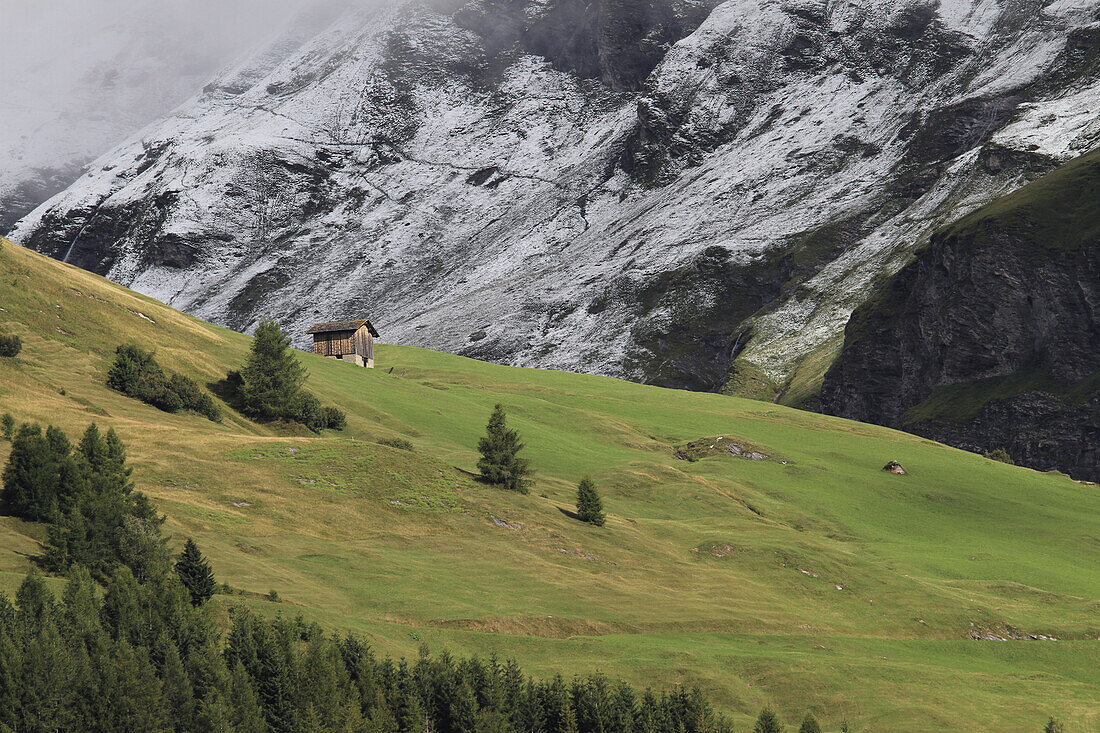 A snowy mountainside next to a green mountainside