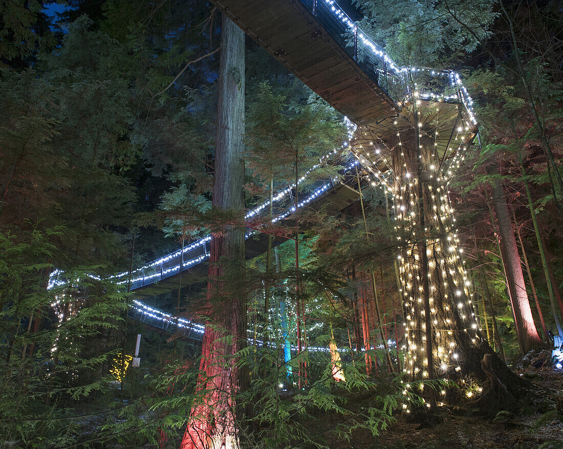 View of illuminated Capilano Suspension Bridge Park, Vancouver, British Columbia, Canada