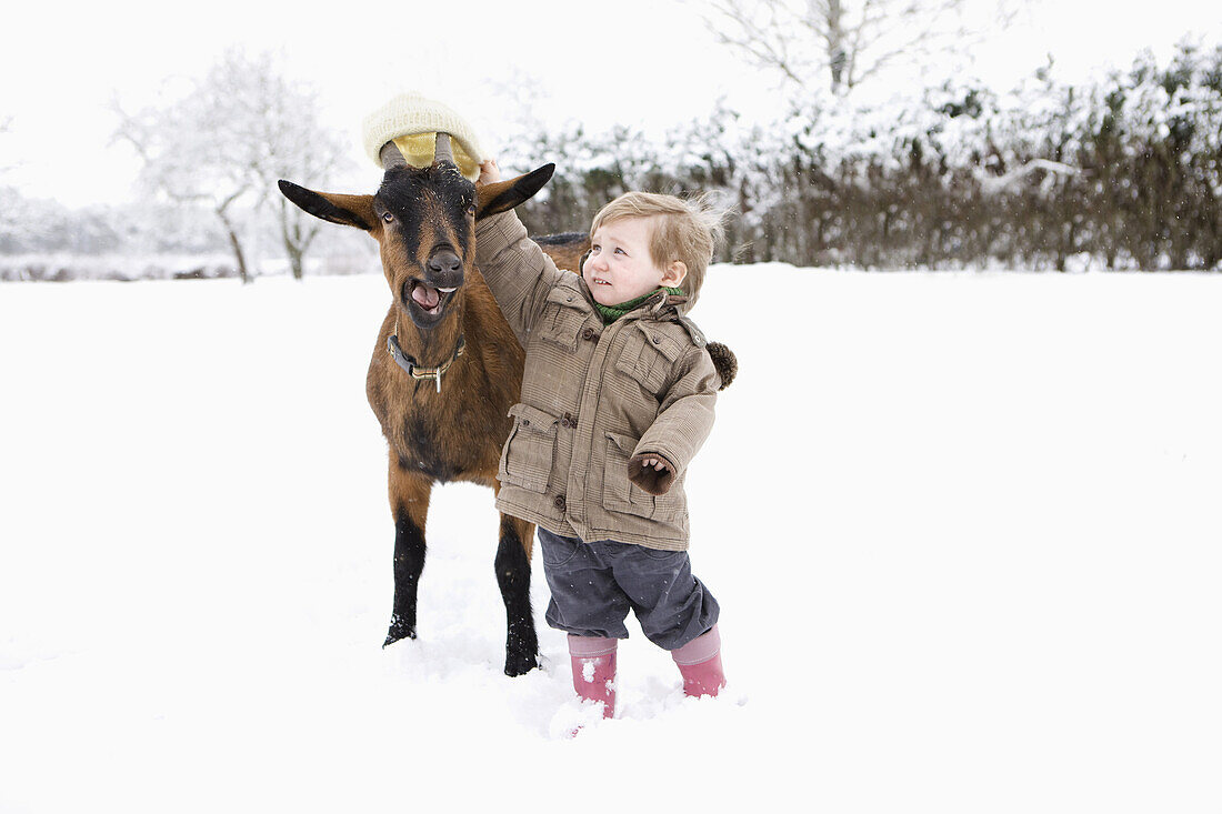 Baby girl putting her hat on goat