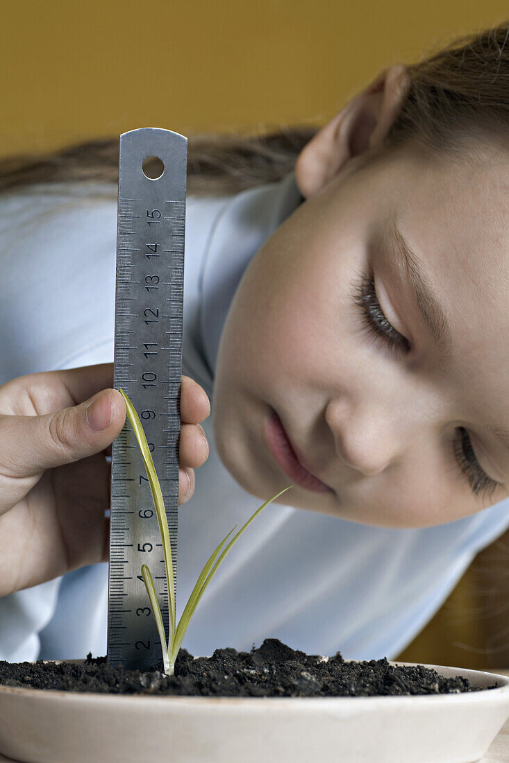 Girl measuring height of seedling