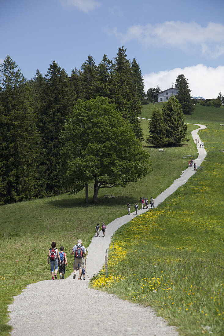 Group of people walking in park