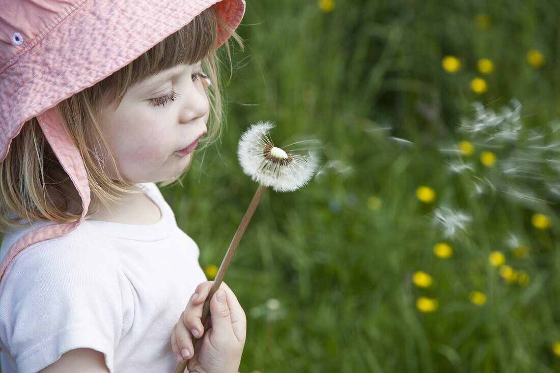 Girl blowing dandelion flower, close-up
