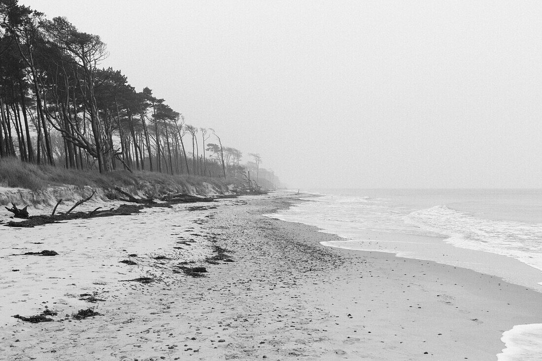 Tranquil view of Baltic Sea, Prerow, Germany