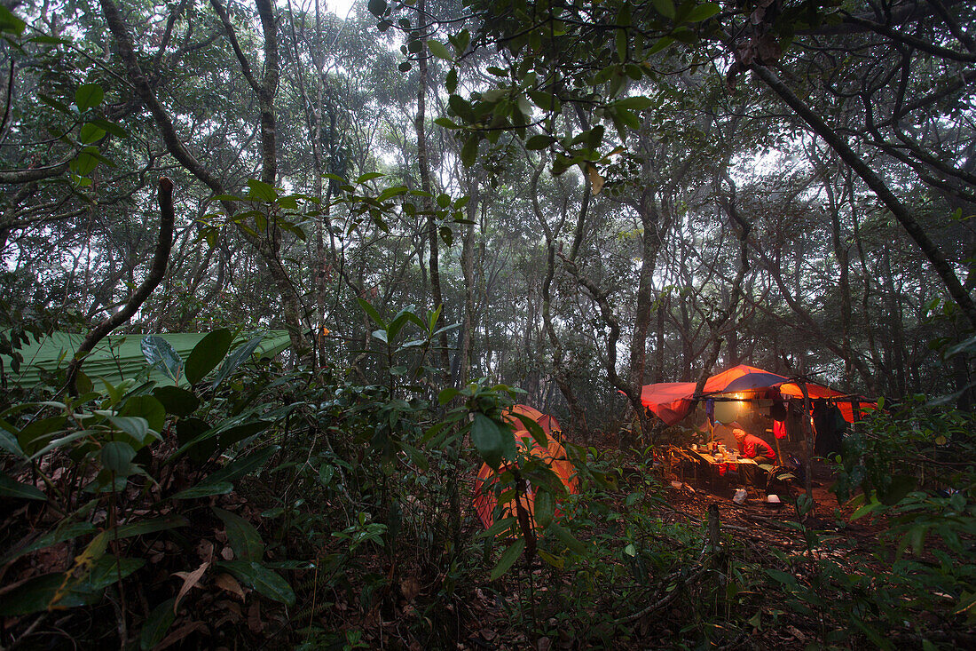 Camp in the jungle, Acopan Tepui, La Gran Sabana, Bolivar, Venezuela
