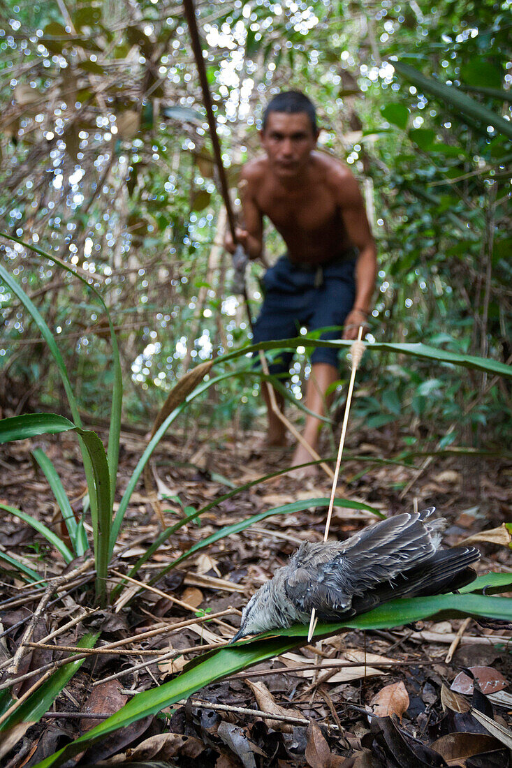 Einheimischer bei der Jagd auf Vögel, Acopan Tepui, Macizo de Chimanta, Venezuela