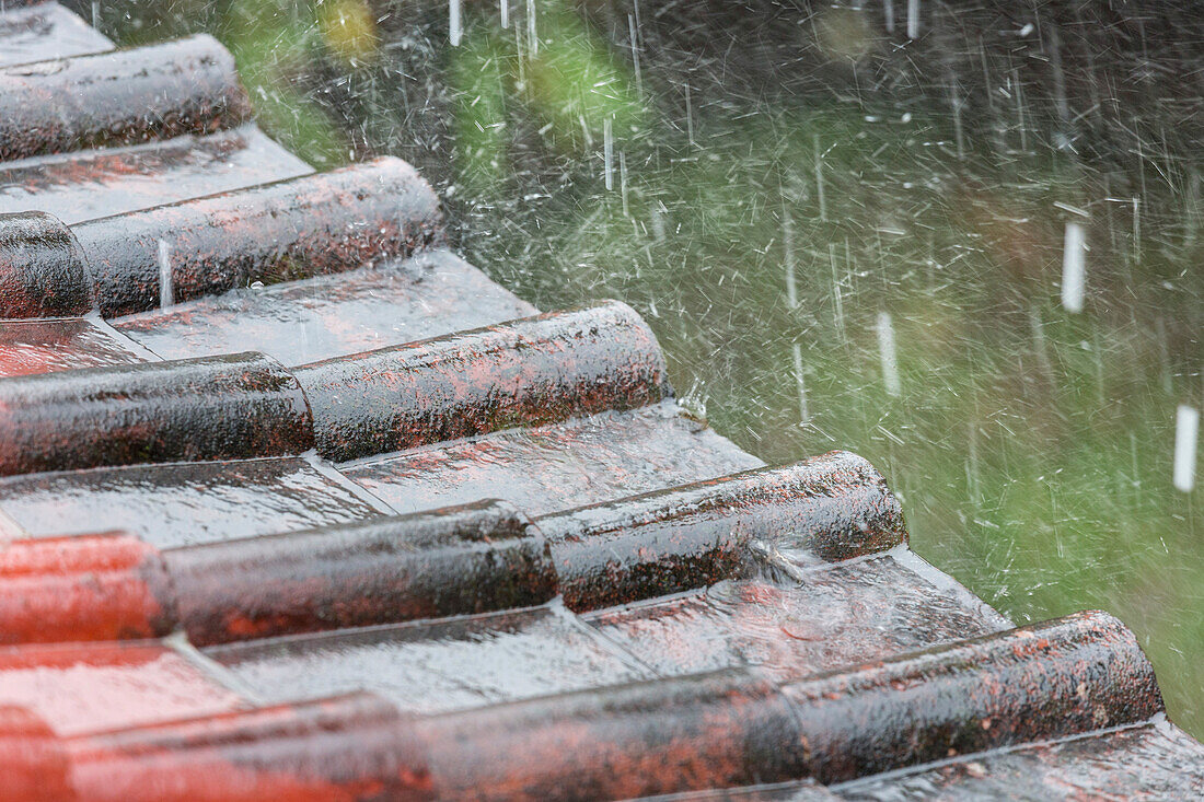 Regen fällt auf ein Ziegeldach, Ubud, Gianyar, Bali, Indonesien