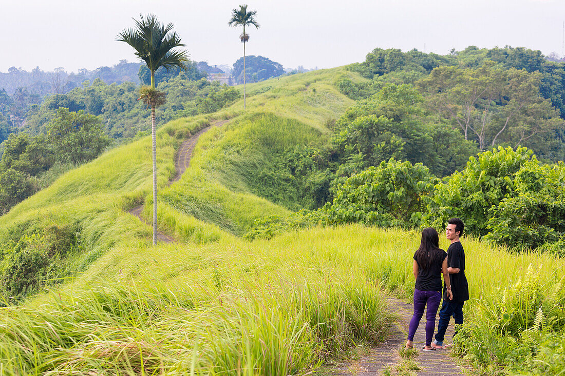 Paar wandert zwischen Reisfeldern, Sawah, Ubud, Gianyar, Bali, Indonesien