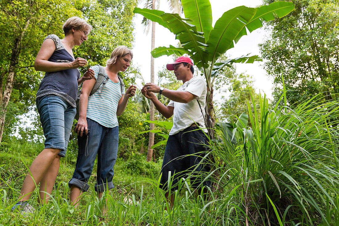 Guide explaining two female tourists plants, herbs and fruits growing on Bali, Mayong, Seririt, Buleleng, Indonesia