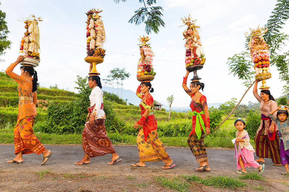 Frauen tragen Opfergaben auf dem Kopf, Odalan Tempelfest, Gunung Agung im Hintergrund, Iseh, Sidemen, Karangasem, Bali, Indonesien