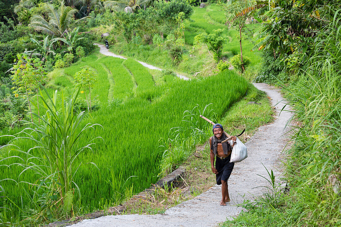 Bauer auf dem Heimweg von der Feldarbeit, Reisfelder im Hintergrund, bei Sidemen, Bali, Indonesien