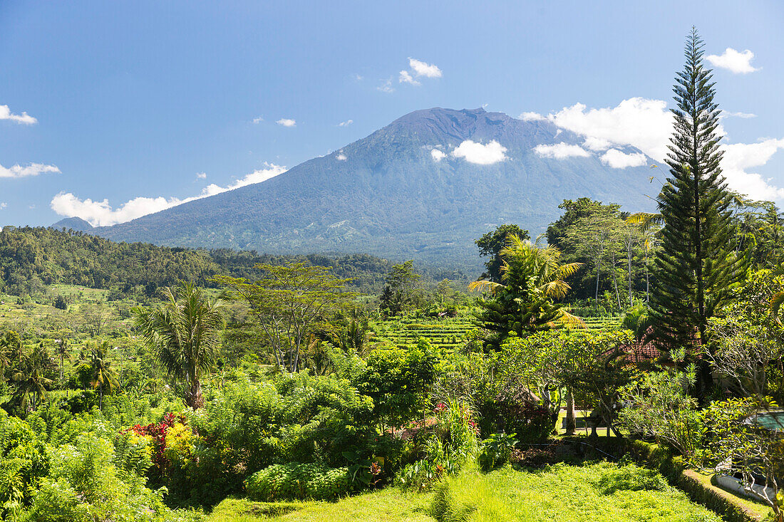 Tropische Landschaft mit Blick auf Gunung Agung, bei Sidemen, Bali, Indonesien