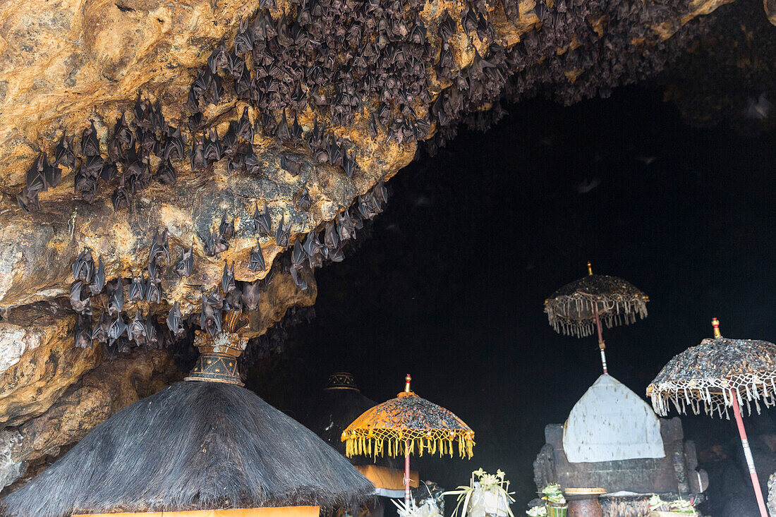 Odalan festival, Pura Goa Lawah (bat cave), Padangbai, Bali, Indonesia