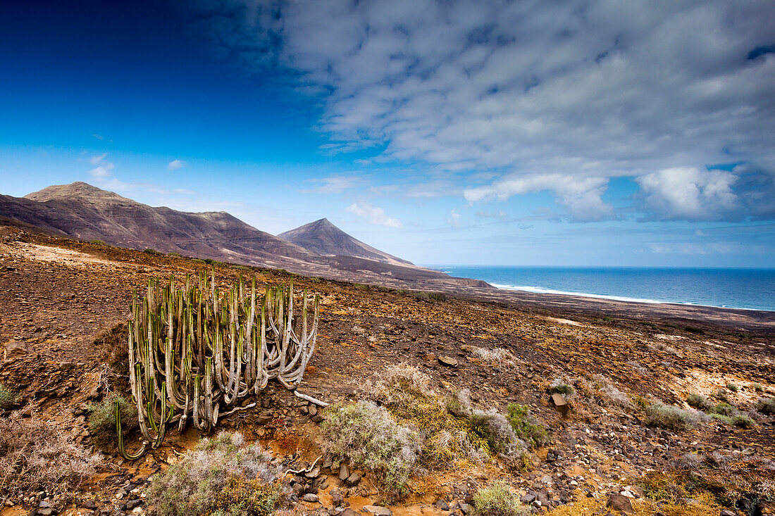 Blick über die Landschaft auf Playa de Cofete, Jandia Halbinsel, Fuerteventura, Kanarische Inseln, Spanien