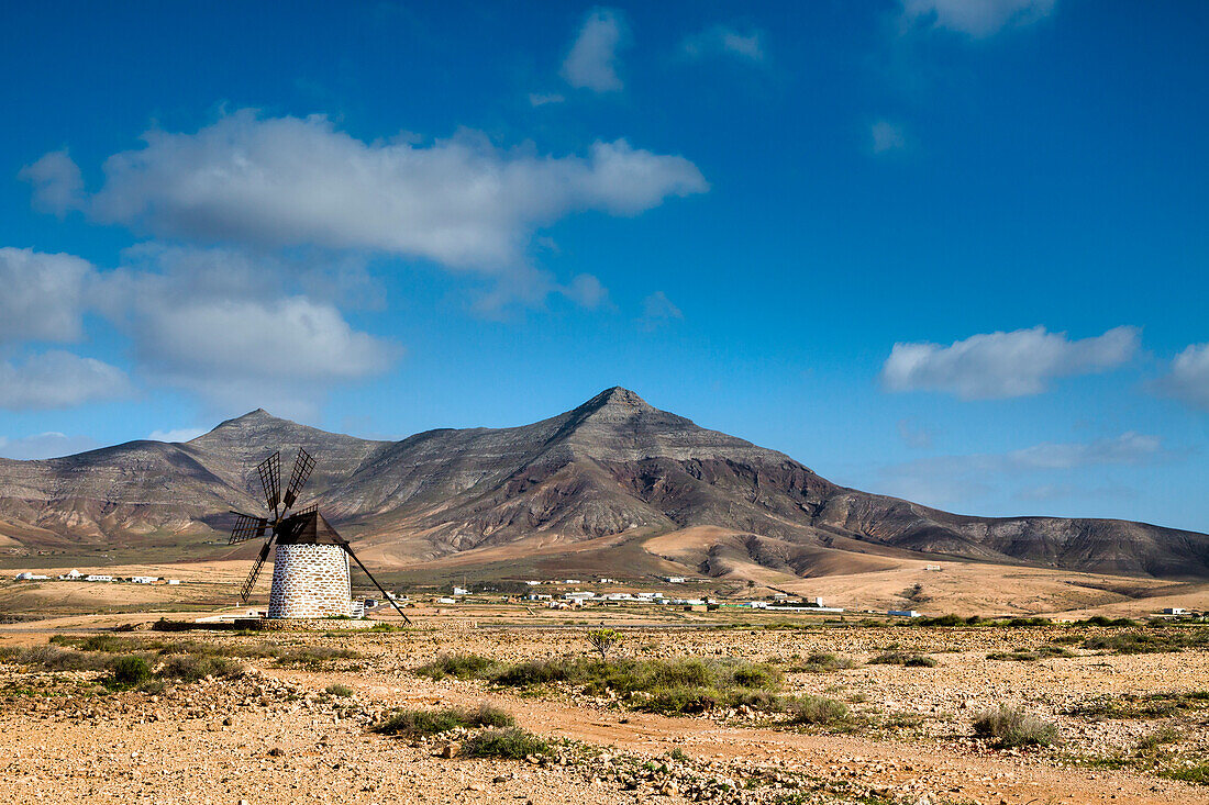 Windmühle, Molino de Tefía, Tefia, Fuerteventura, Kanarische Inseln, Spanien