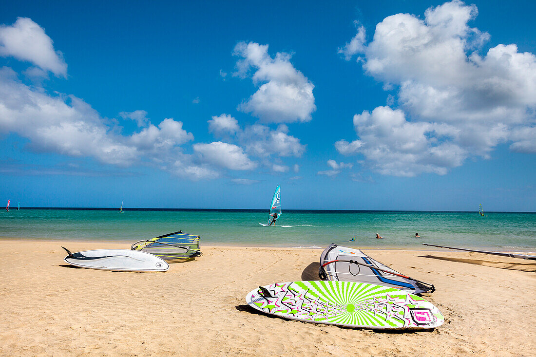 Windsurfer, Playa de Sotavento, Fuerteventura, Canary Islands, Spain