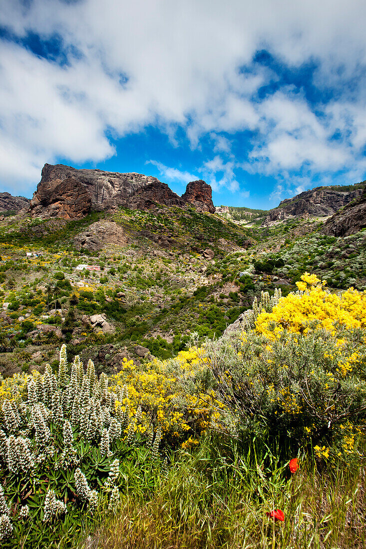 Berglandschaft, Gran Canaria, Kanarische Inseln, Spanien