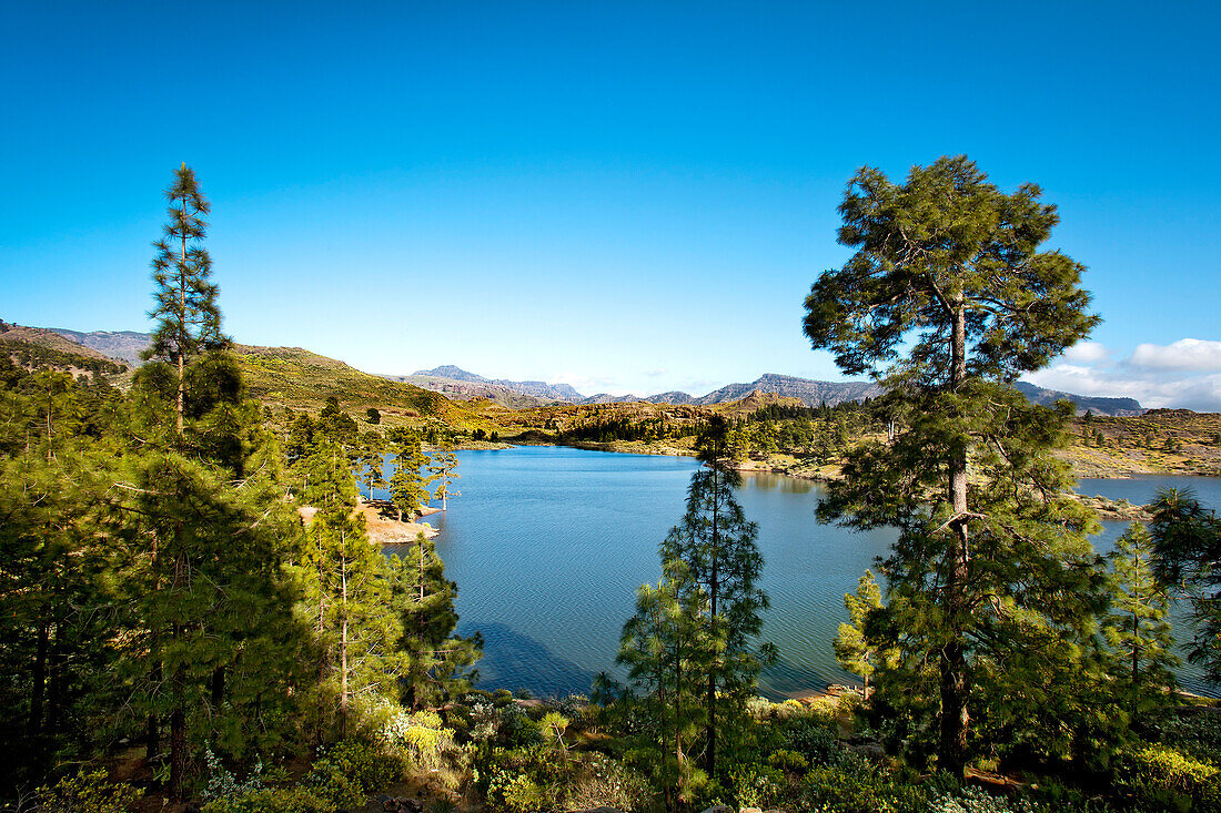 Water reservoir, Presa de las Ninas, Gran Canaria, Canary Islands, Spain