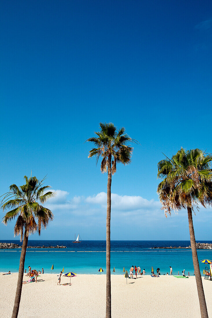Beach, Playa Amadores, Puerto Rico, Gran Canaria, Canary Islands, Spain