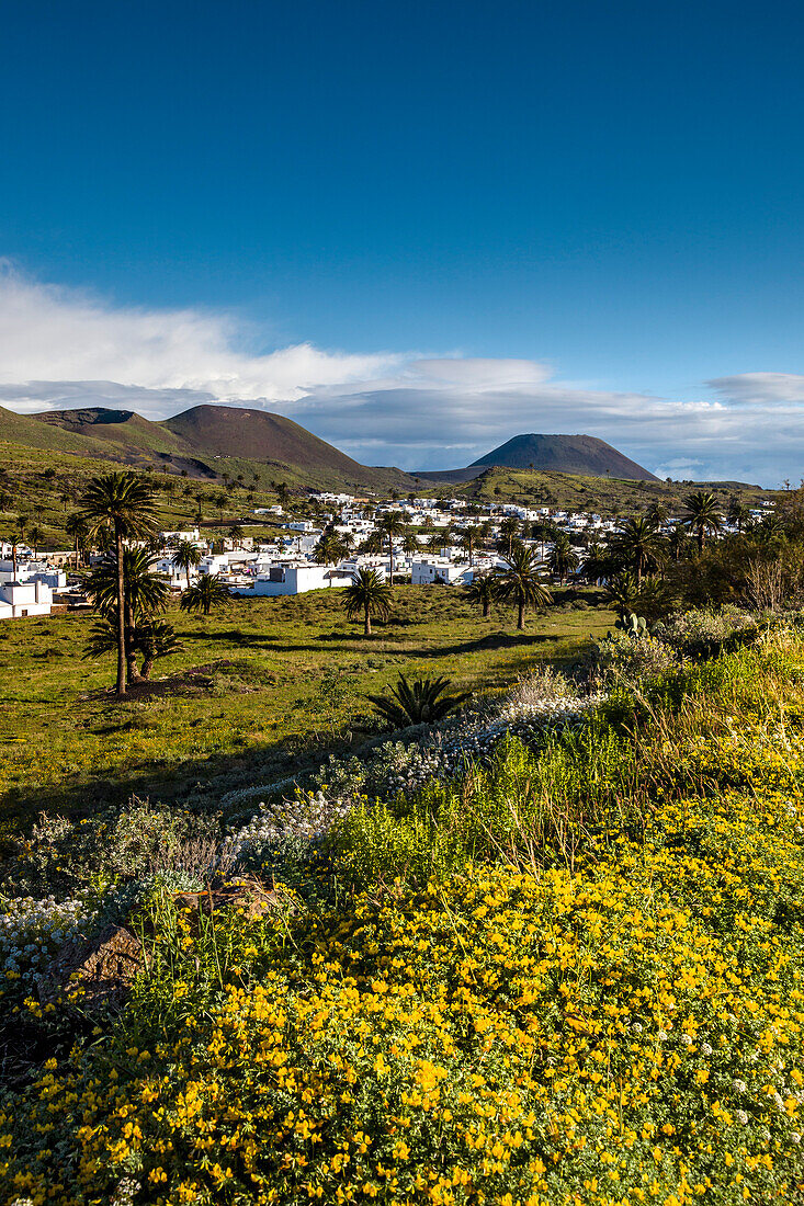 Blick auf Haria, Lanzarote, Kanarische Inseln, Spanien