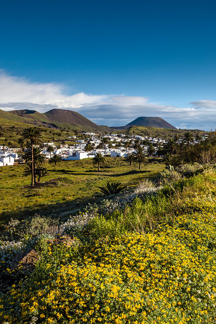 View towards the village of Haria, Lanzarote, Canary Islands, Spain