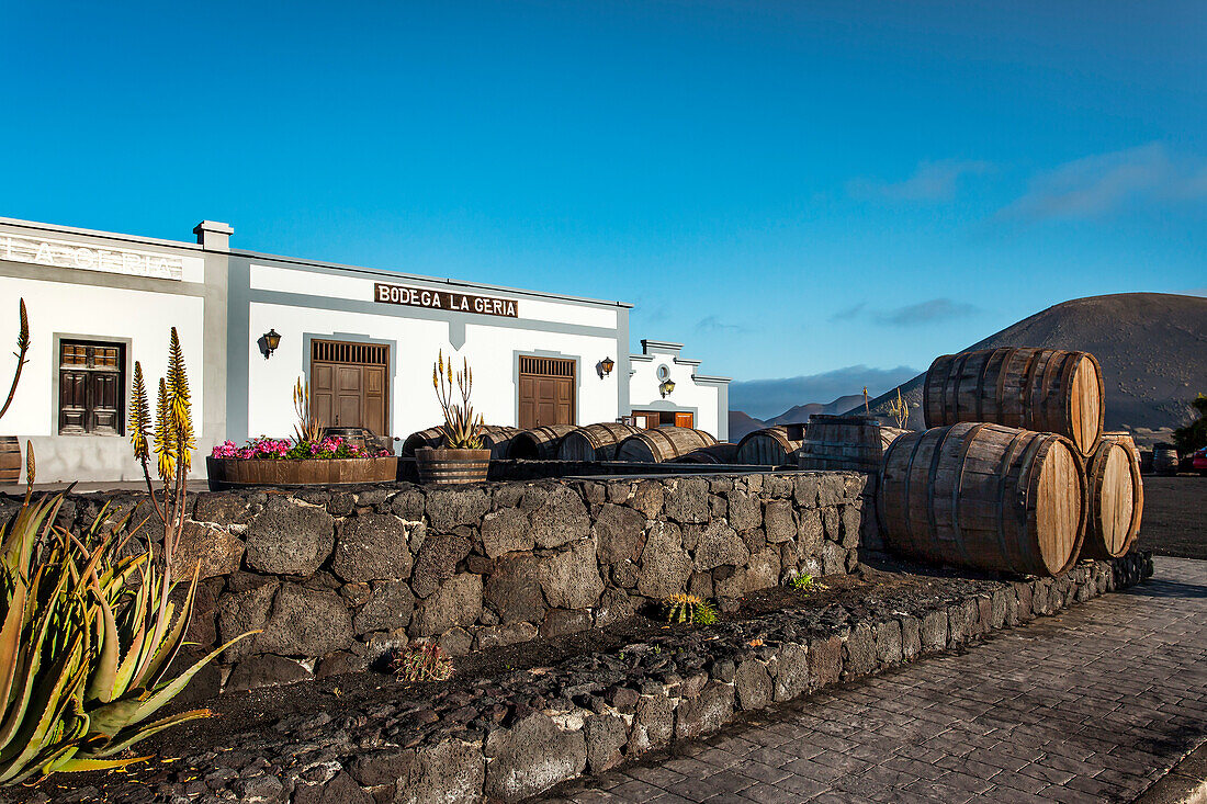 Bodega La Geria, wine region La Geria, Lanzarote, Canary Islands, Spain