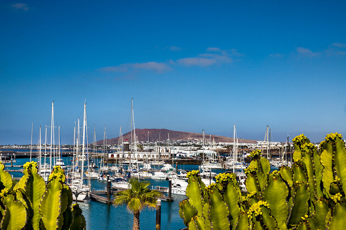 New harbour, Marina Rubicon, Playa Blanca, Lanzarote, Canary Islands, Spain