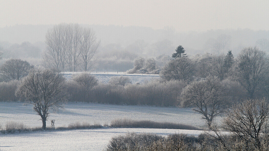 Winter landscape, Rendsburg-Eckernfoerde, Schleswig-Holstein, Germany