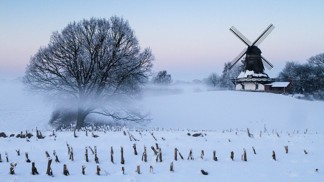 Windmill in a Winter landscape, Klein Barkau, Ploen, Schleswig-Holstein, Germany