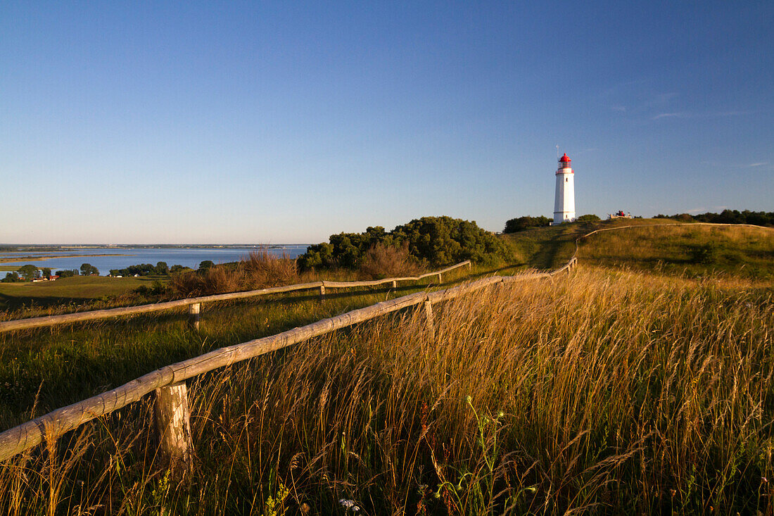 Hiddensee, Rügen, Ostsee, Mecklenburg-Vorpommern, Deutschland