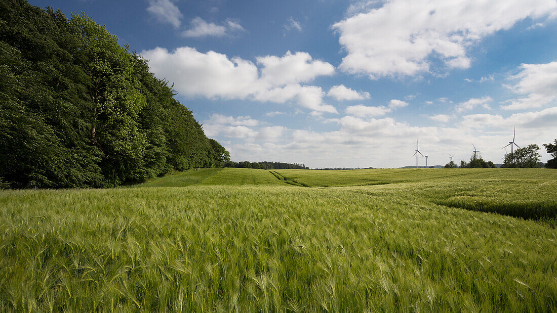 Field with wind turbines, Altenhof, Eckernfoerde, Rendsburg-Eckernfoerde, Schleswig-Holstein, Germany
