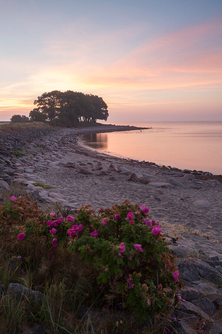 Coastal landscape at Buelk, Kiel Fjord, Baltic Sea, Strande, Kiel, Schleswig-Holstein, Germany