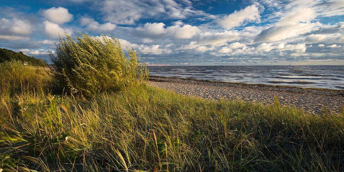 Küstenlandschaft bei Falkenstein, Kieler Förde, Ostsee, Friedrichsort, Kiel, Schleswig-Holstein, Deutschland