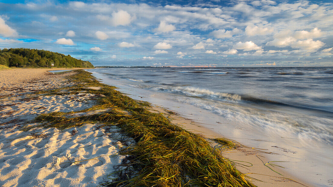 Falkenstein, kiel fjord, baltic sea, friedrichsort, kiel, schleswig-holstein, germany