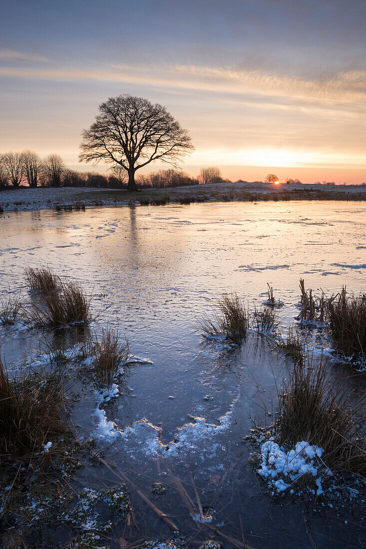 Kaltenhofer Moor bei Sonnenuntergang (Naturschutzgebiet), Dänischer Wohld, Rendsburg-Eckernförde, Schleswig-Holstein, Deutschland