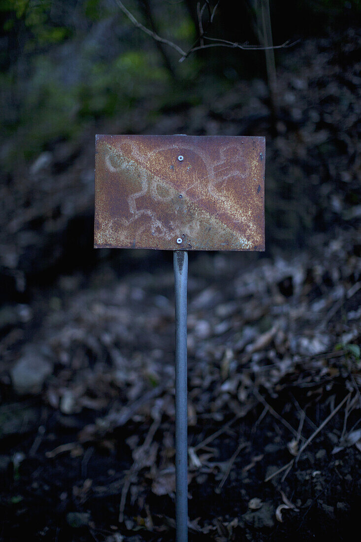 An old rusty sign with a skull and crossbones on it posted outdoors