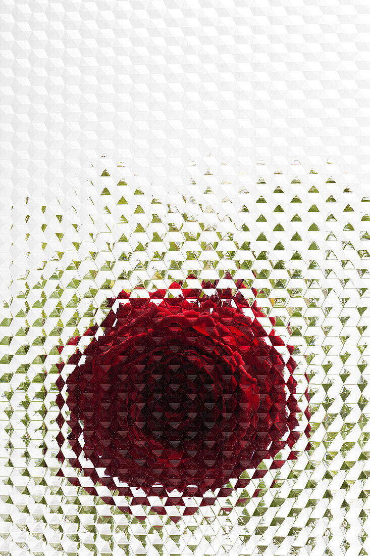 A rose seen behind beveled glass with hexagon pattern
