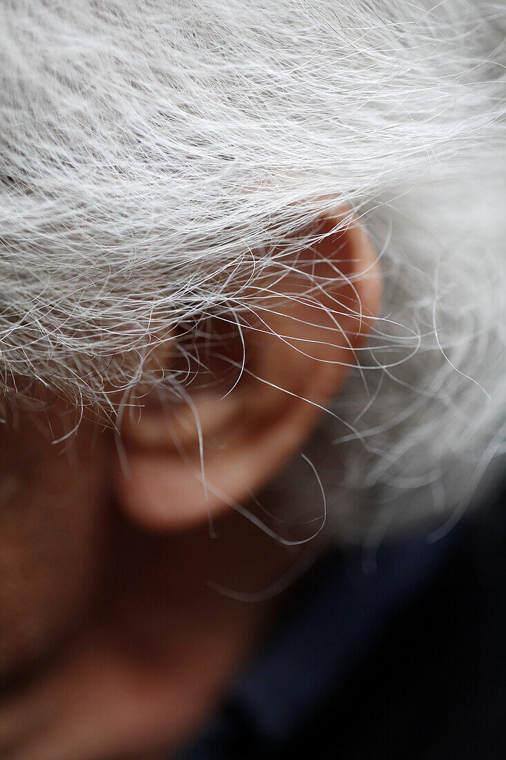 Detail of gray hair and an ear