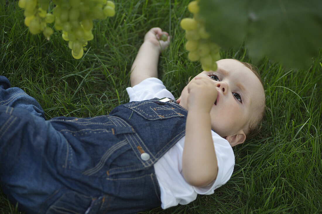 Baby lying on grass looking up at grapes