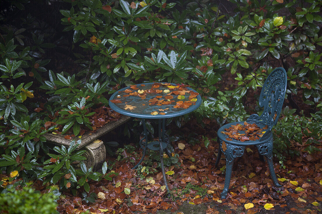 Detail of furniture in a garden in autumn