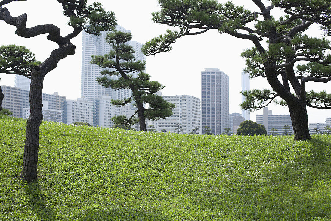 Cityscape view from Hamarikyu Park, Japan