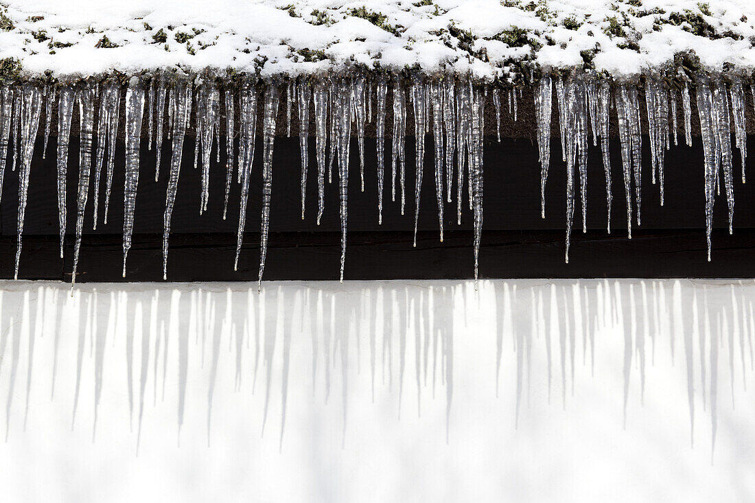 Snow and a row of icicles hanging from the eaves of a building